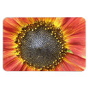 Recherche de tournesol rouge magnets Jaune