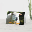 Zoek naar rammen posters Boerderijen