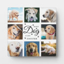 Recherche de sympathie plaques Animal de compagnie