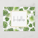 Recherche de tropical motif de cartes postales Feuillage