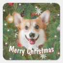 Recherche de corgi dog autocollants Mignon
