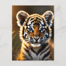 Recherche de tiger cartes postales Cuiller