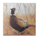 Zoek naar pheasant tegels Vogel