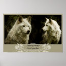 Recherche de toundra posters Animaux