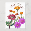 Recherche de fleur de cosmos cartes postales Floral
