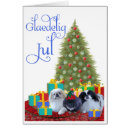 Recherche de pekinese Animaux