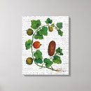 Recherche de végétal art Vigne