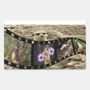 Recherche de suricate autocollants Meerkat