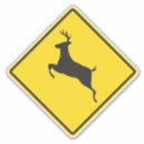 Recherche de whitetail autocollants Mâle
