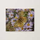Zoek naar asters puzzels Natuur