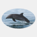 Recherche de dauphin autocollants Marin