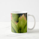 Recherche de bourgeon tasses Amour