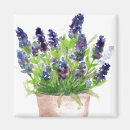 Recherche de fleurs de lavande magnets Printemps