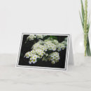 Recherche de foliage photographie Pour elle