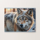 Recherche de animaux dans le sauvage puzzles Hiver