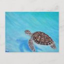Recherche de peinture tortue cartes postales Océan