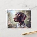Recherche de de chasse cartes postales Chien oiseau