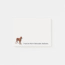 Recherche de irish papeterie Chien