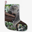 Recherche de koala chaussette de noël Faune