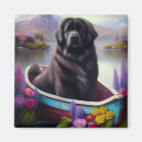 Recherche de chien terre neuve magnets Pour tous