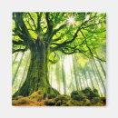 Zoek naar boomstam magneten Bossen