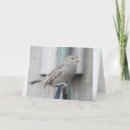 Recherche de mangeoire vœux cartes Mangeoire à oiseaux
