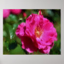 Recherche de rose foncé art Fleur