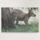 Recherche de kangourou puzzles Wallaby