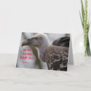 Zoek naar gieren posters For him