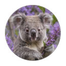 Recherche de koala planches à découper Porter