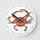 Recherche de crabe horloges Côtier