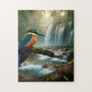 Recherche de oiseaux colorés puzzles D'oiseaux coloré