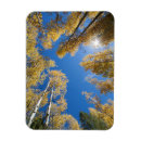 Recherche de arbre de paix magnets Arbres
