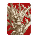 Recherche de vie marine magnets Récif coralien