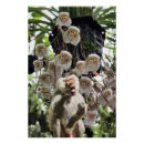 Recherche de copie de nature posters Plante