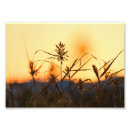 Recherche de helsinki finlande posters Suomi