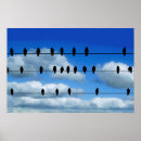 Zoek naar draden posters Blauw