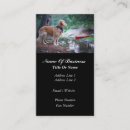 Recherche de toilettage de chien cartes visite Chiens