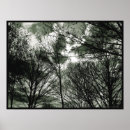 Recherche de landscape photography posters Nature