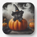 Recherche de minou chapeaux Halloween