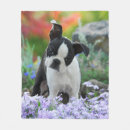 Zoek naar boston dekens Puppy