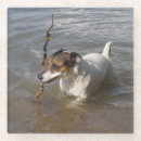Recherche de jack russel dessous de verres Dog