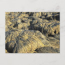 Recherche de textures cartes postales Pour lui