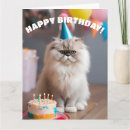 Zoek naar perzische kat posters Dieren