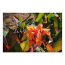 Zoek naar oranje bloemen posters Bloesem