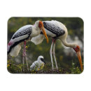 Recherche de cigogne magnets Faune
