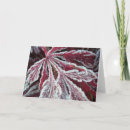 Zoek naar bladen kaarten Macro