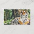 Recherche de chat sauvage cartes visite Faune
