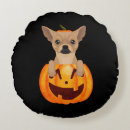 Recherche de de chihuahua coussins Animal