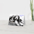 Zoek naar beardie kaarten Collie